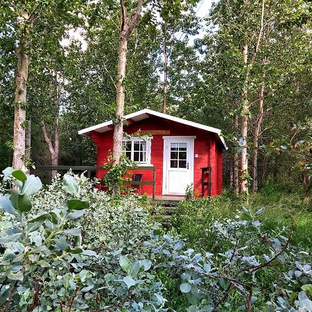Bakkakot 3 Cozy Cabin In The Woods Akureyri Buitenkant foto