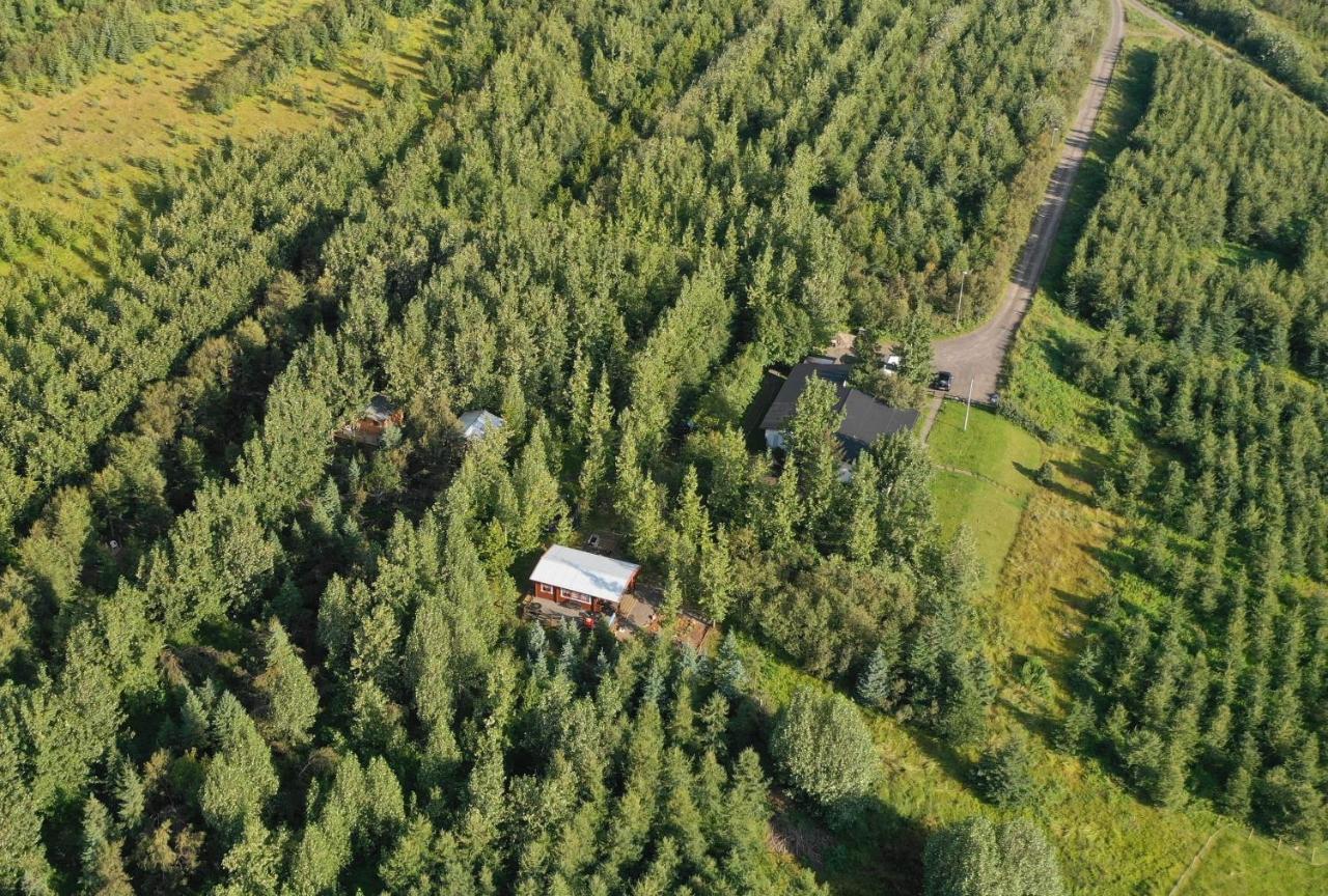 Bakkakot 3 Cozy Cabin In The Woods Akureyri Buitenkant foto