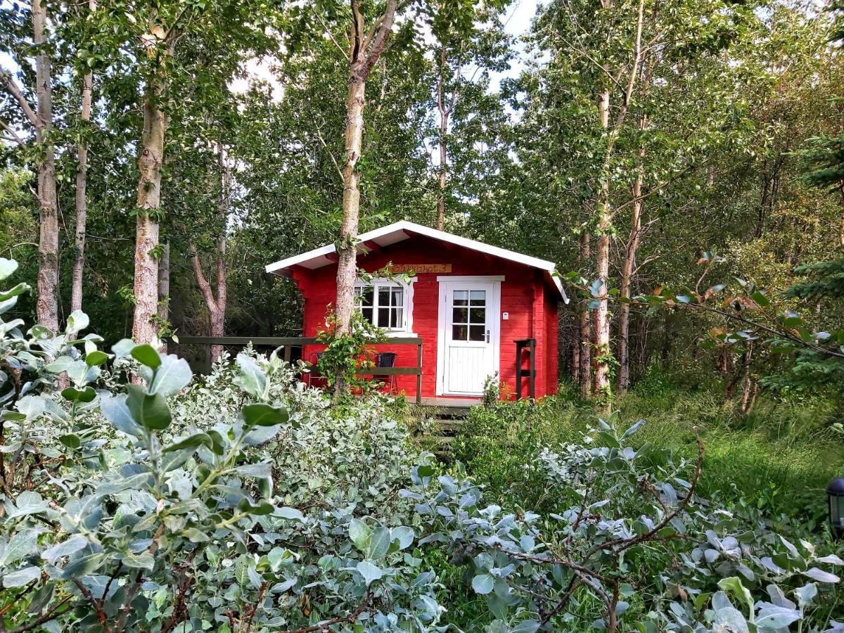 Bakkakot 3 Cozy Cabin In The Woods Akureyri Buitenkant foto