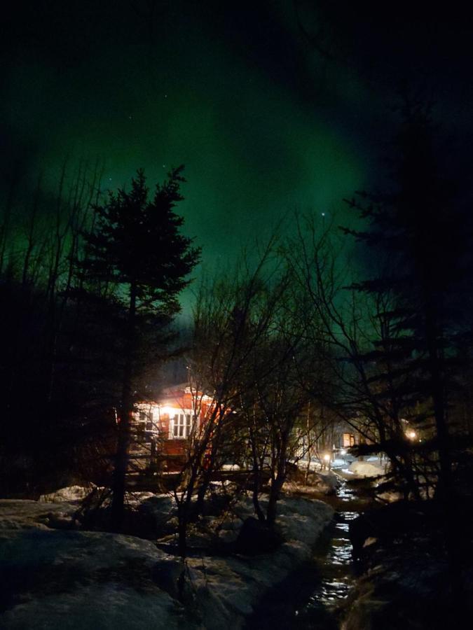 Bakkakot 3 Cozy Cabin In The Woods Akureyri Buitenkant foto